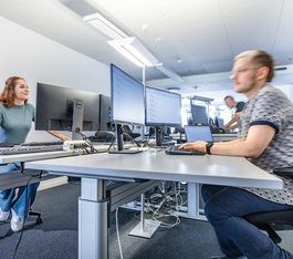 IT & Digital Business